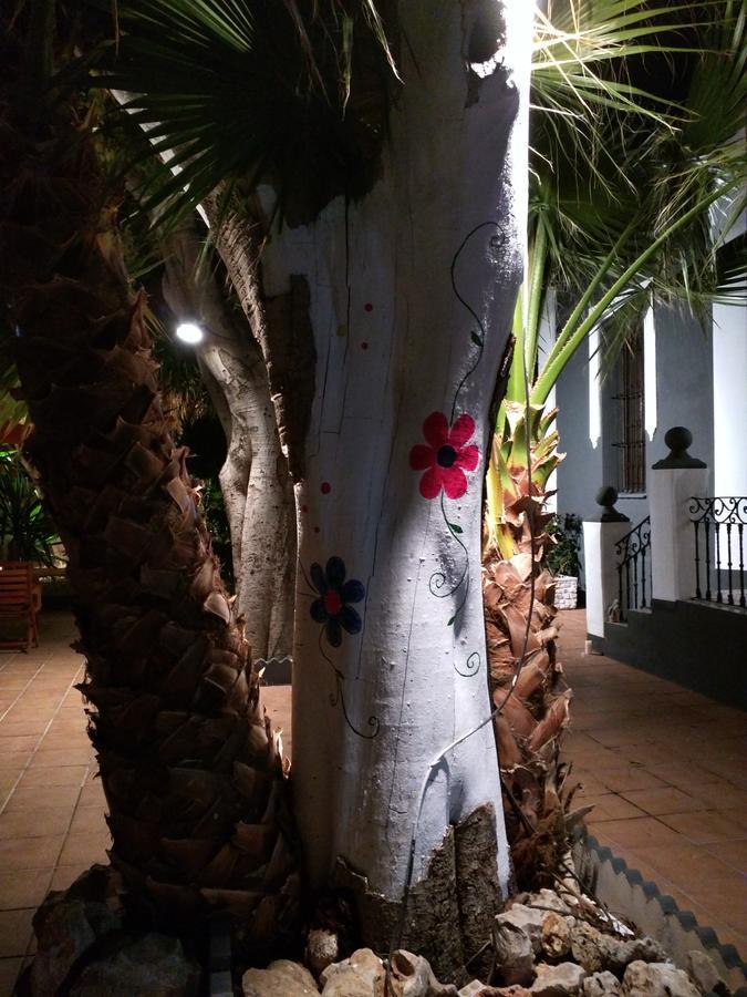 Nwt Paradise Urban Hostel Alicante Exterior foto