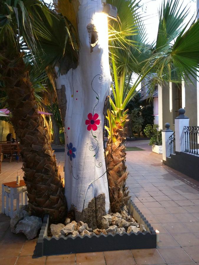 Nwt Paradise Urban Hostel Alicante Exterior foto